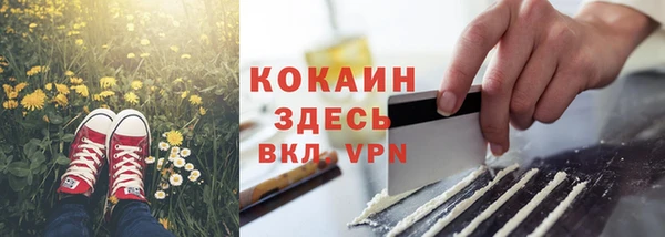 соль ск Михайлов