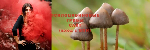 дурь Михайловка