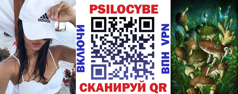 дарк нет наркотические препараты Кашира Галлюциногенные грибы мухоморы
